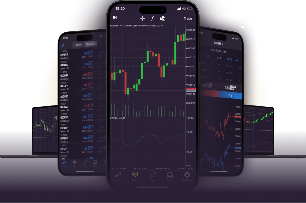 que es stockity y como funciona, alligator stockity